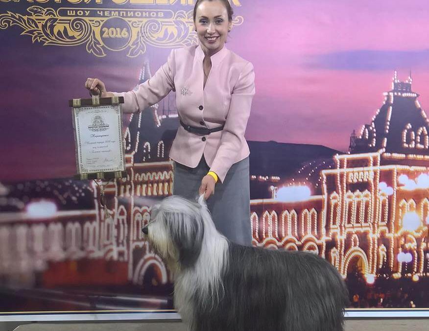 Špeciálna výstava „Golden Collar“