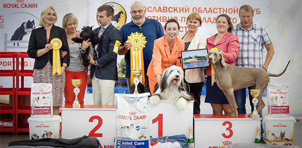 DREAM GIRL Kasiterit - CW, BOB, BIG I, BEST IN SHOW