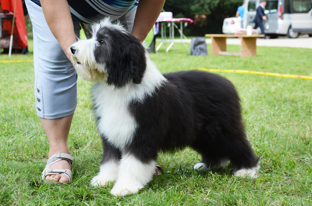 Specialty Show Valtice 2018