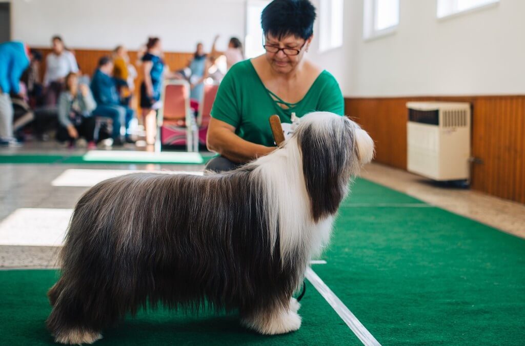 Špeciálna výstava 2019
