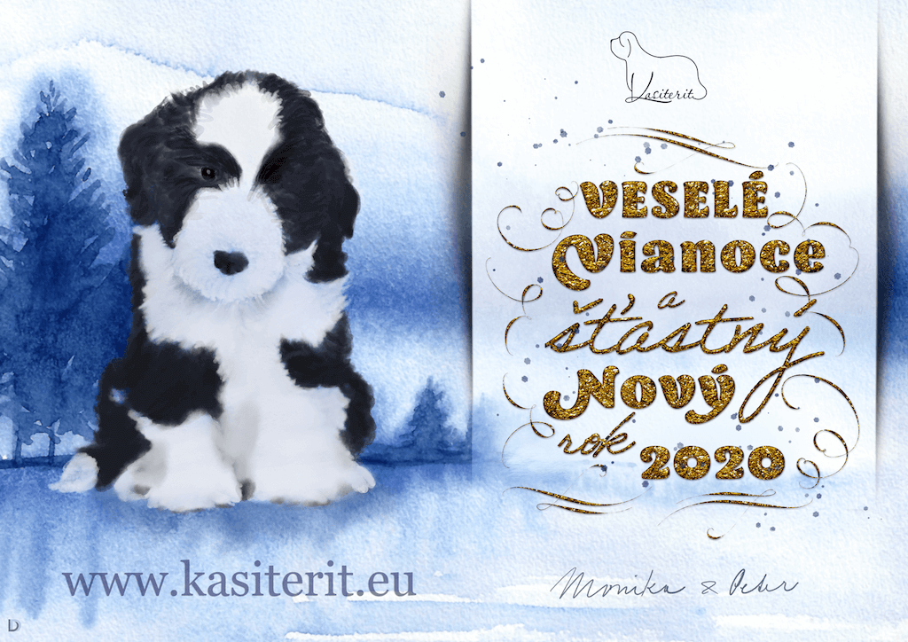 kasiterit-pf-2020