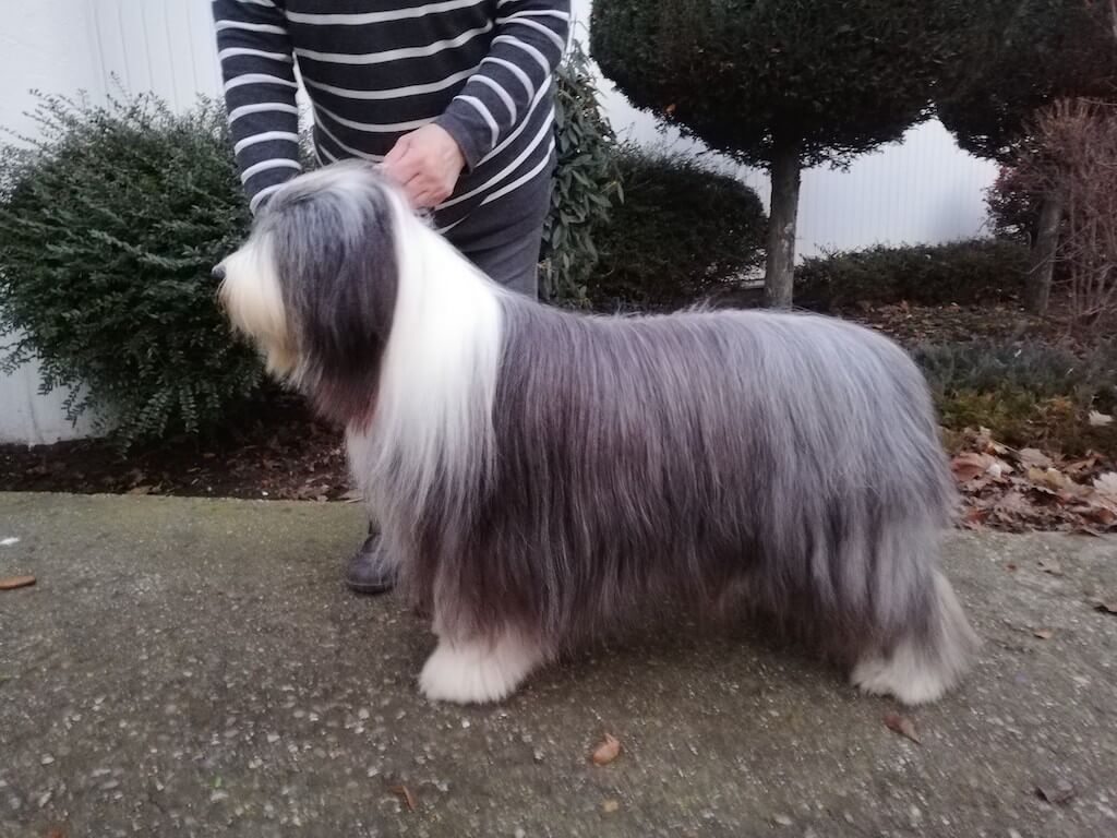 LÚTHIEN Emiel Regis LÚTHIEN Emiel Regis