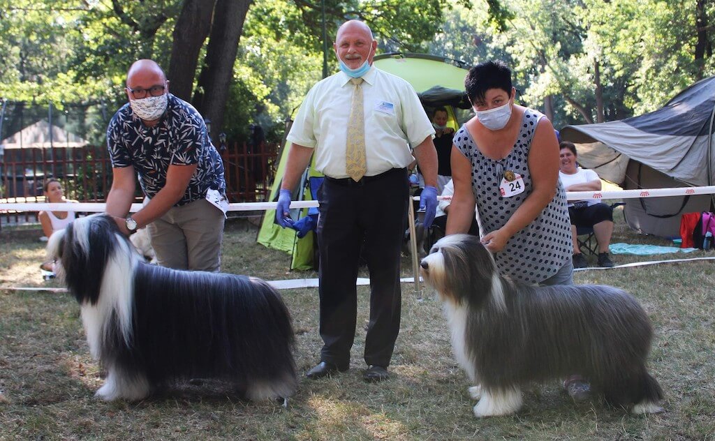 CACIB Bratislava aug. 2020
