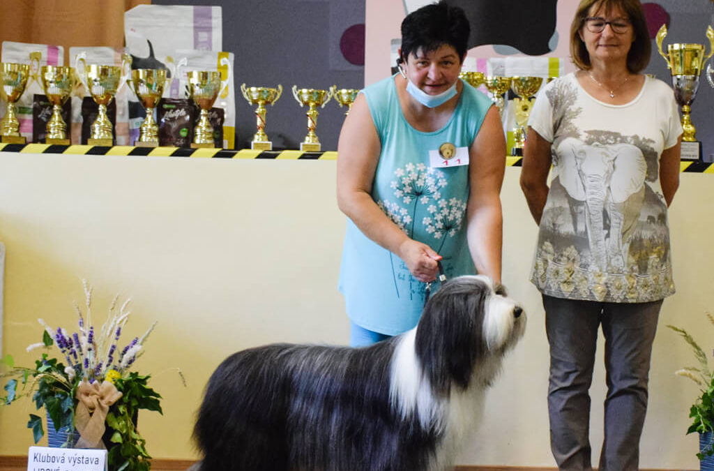 Club and Specialty Show Lipové
